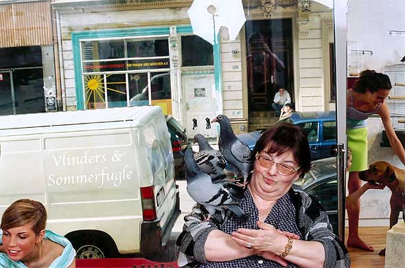 No 05: Vlinders & Sommerfugle